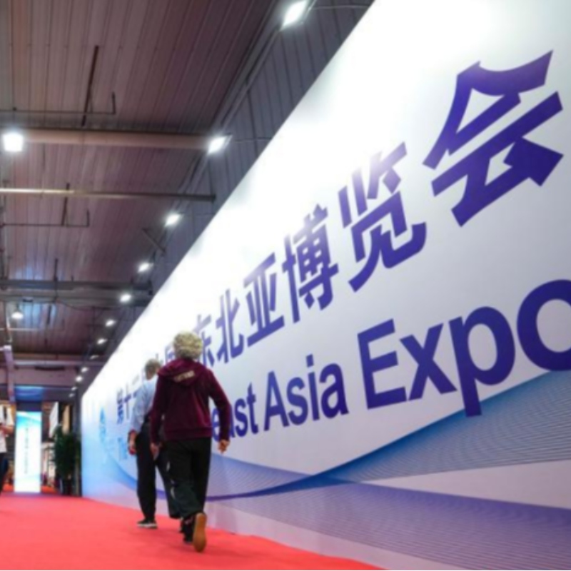 Cooperación, innovación y desarrollo: decodifique las palabras clave de la XIII EXPO DE ASIA DE ASIA